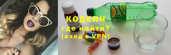 ГАЛЛЮЦИНОГЕННЫЕ ГРИБЫ Верея
