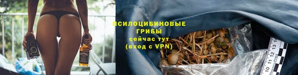 сатива Бронницы