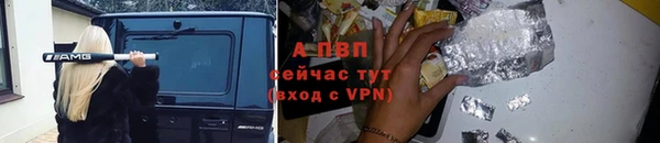 ГАЛЛЮЦИНОГЕННЫЕ ГРИБЫ Верея