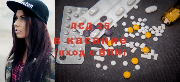 ГАЛЛЮЦИНОГЕННЫЕ ГРИБЫ Верея
