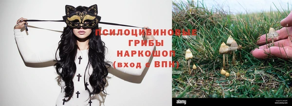 сатива Бронницы